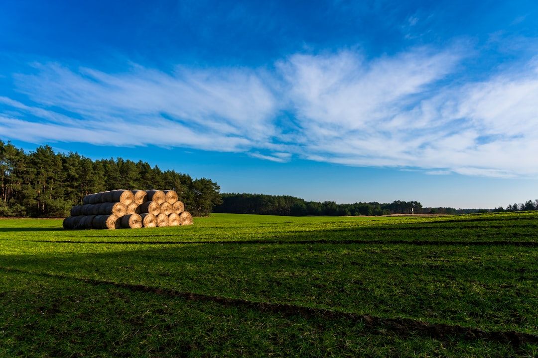 Poland countryside nature landscape